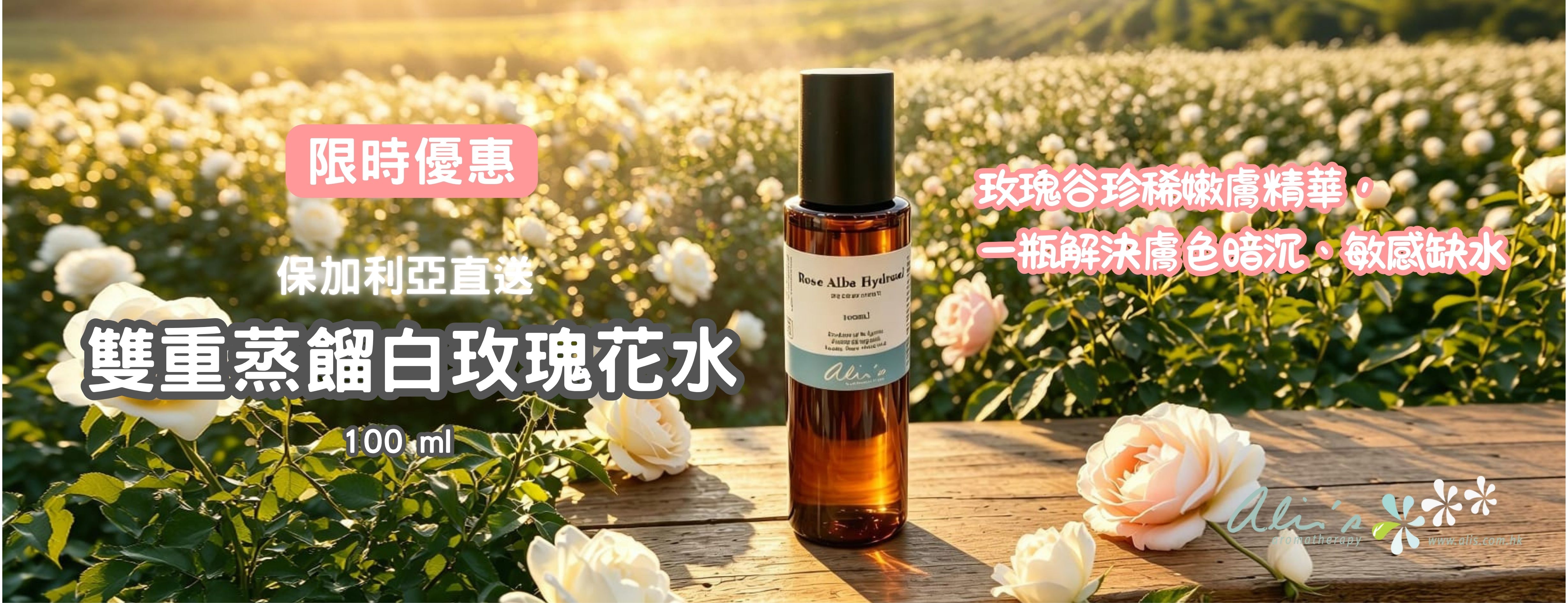 優惠plan